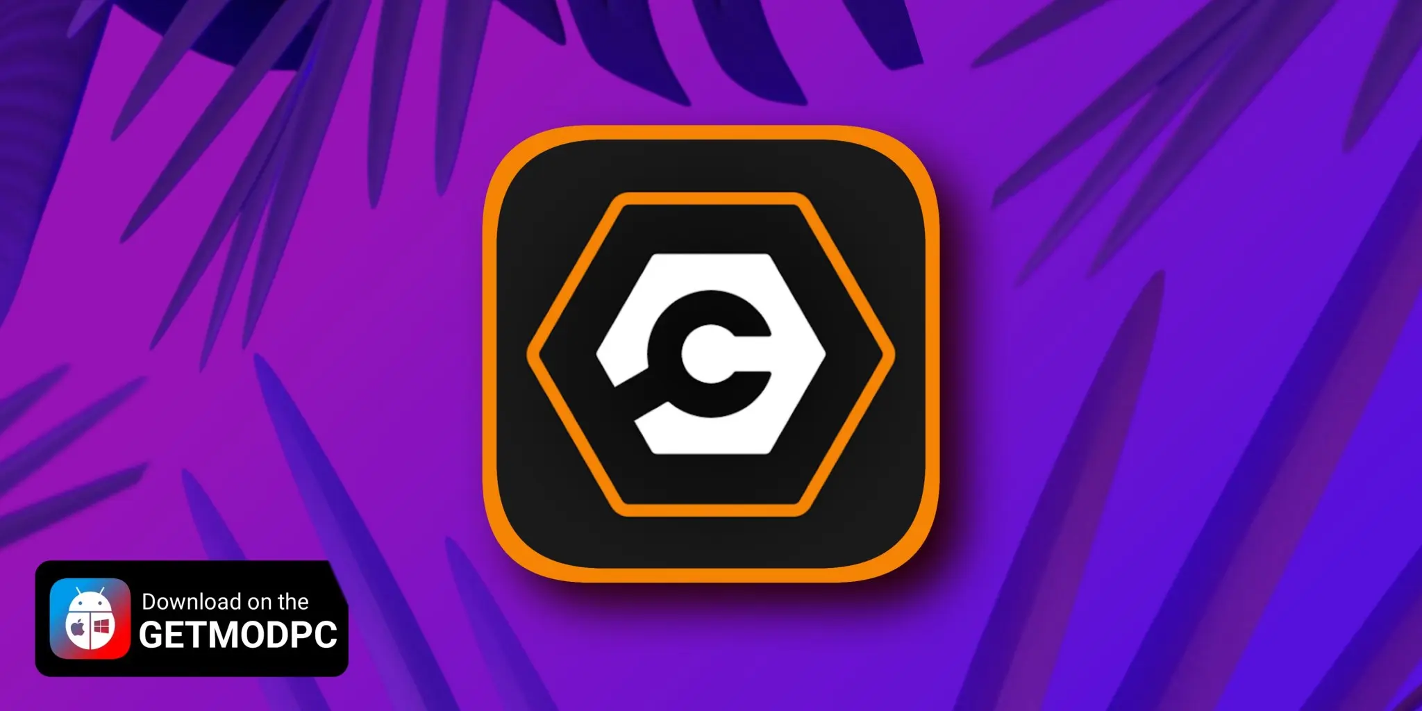 Carly OBD2 car scanner